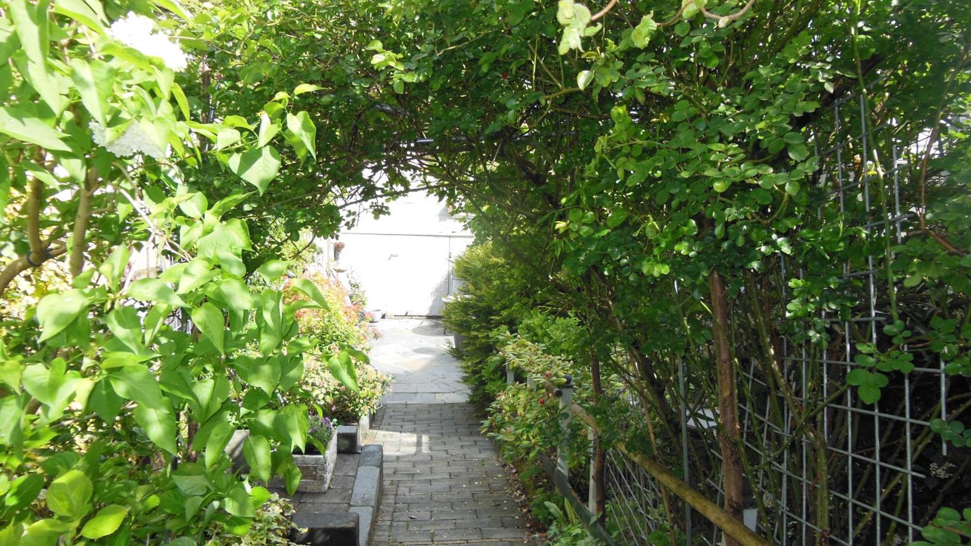 Munnik'S Hof Bed & Breakfast Amsterdam Exterior foto